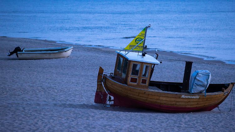 Die Zahl der Küstenfischer an der Ostsee nimmt seit Jahren ab. Wird die Ausnahme ihrer Fangquoten nicht verlängert, könnte ihnen vollständig das Aus drohen.