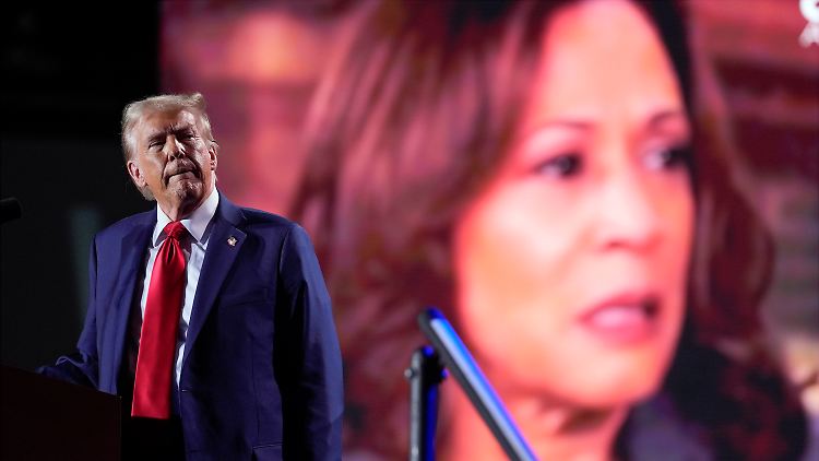 Trump und Harris kandidieren für das Amt des US-Präsidenten.