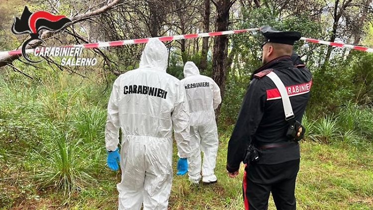 Die Polizei wird in einem Waldstück fündig. 