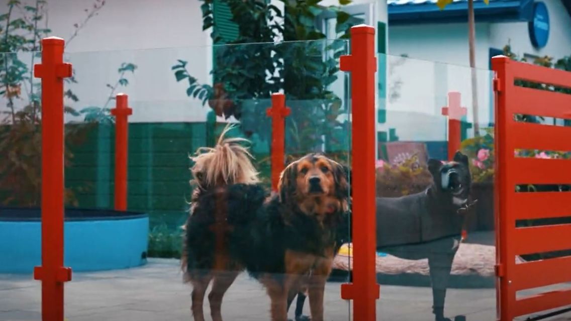 Hunde-Dorf.JPG
