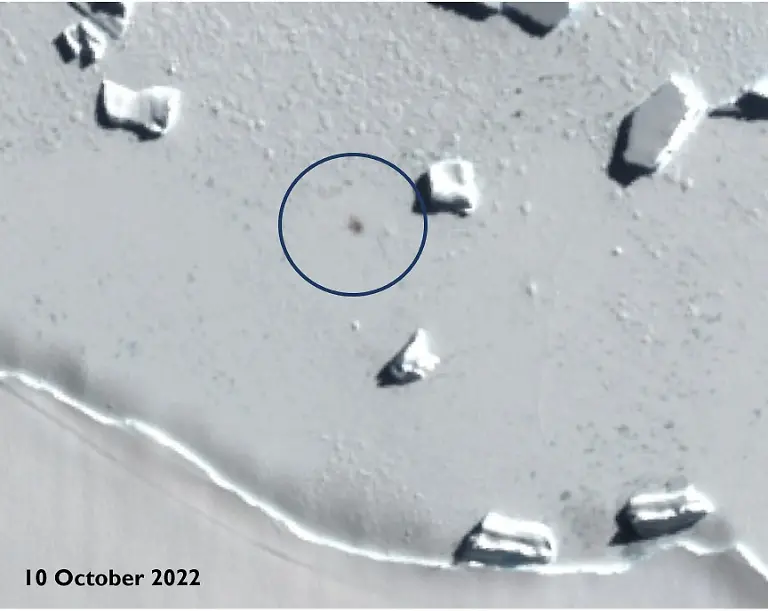 nicht-weiterverwenden