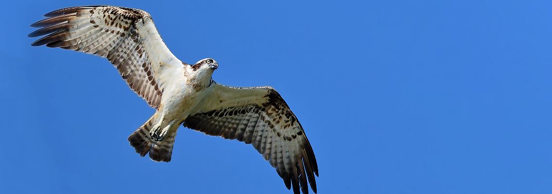 488460341.jpg