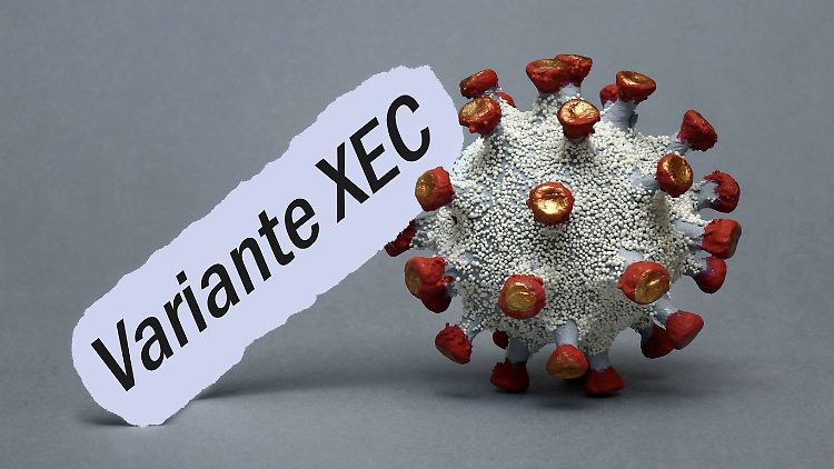 Die Corona-Variante XEC gehört zur Omikron-Sublinie.