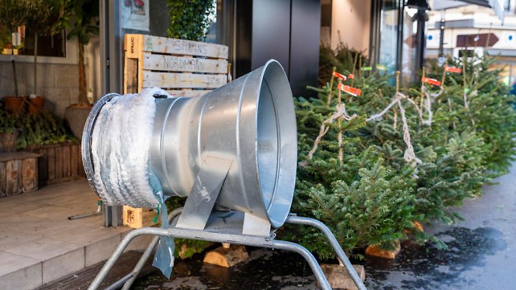 Kunden müssen beim Kauf eines Weihnachtsbaumes dieses Jahr tiefer in die Tasche greifen.