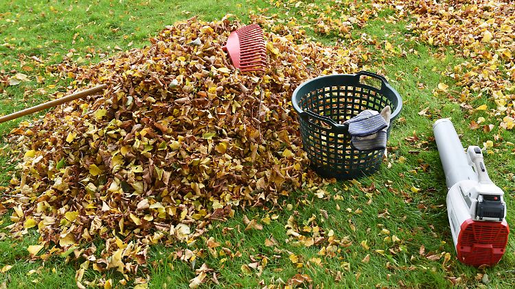 Am besten ist es, Gartenabfälle auf dem eigenen Grundstück zu kompostieren.