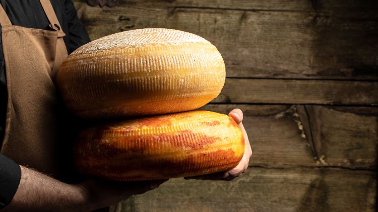 950 Laibe Hafod, Westcombe und Pitchfork Cheddar gingen an einen Händler - eine Bezahlung erfolgte jedoch nicht.