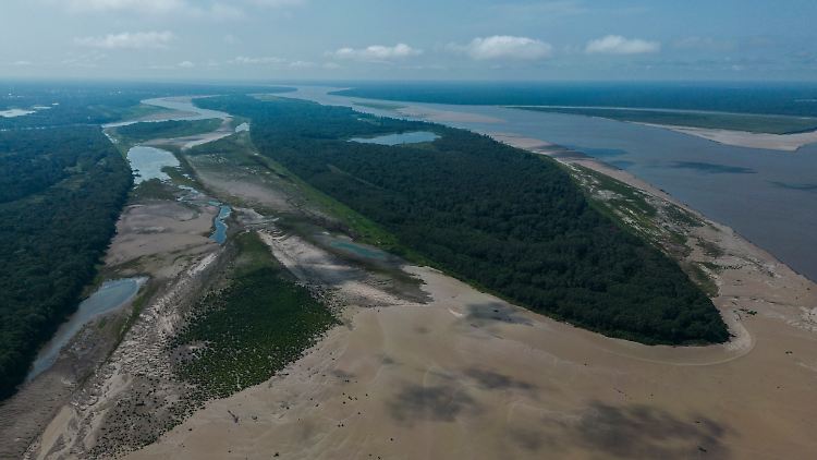 Am Amazonas nahe Leticia sind die Anzeichen der Dürre nicht zu übersehen.