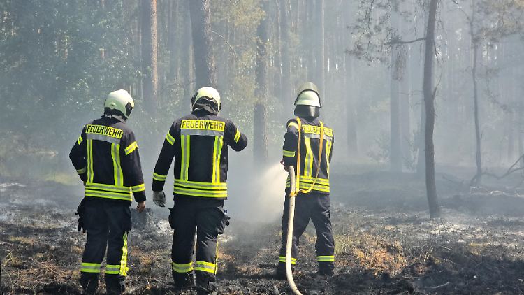 Die zahlreichen Waldbrände der letzten Jahre - hier im brandenburgischen Milower Land- haben erheblichen Einfluss auf die CO2-Konzentration.