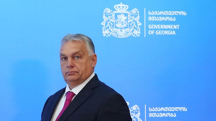 Viktor Orban verbindet eine ideologische Nähe zur nationalkonservativen und moskaufreundlichen Regierungspartei Georgischer Traum.