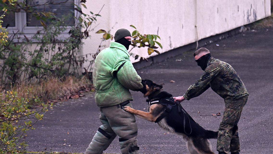 Bei einem Training in Bitburg üben ukrainische Hundeführer mit ihren Schäferhunden den Zugriff auf einen Gegner auf einem Freigelände und in einem Gebäude.
