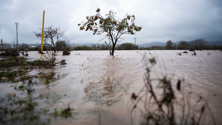 In einigen Hotspots fielen zwischen 450 und 600 Liter Regen pro Quadratmeter. 