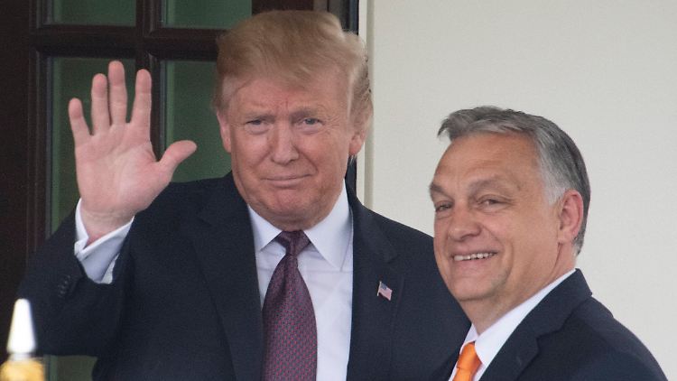 Zwei, die sich mögen: Donald Trump und Viktor Orban.