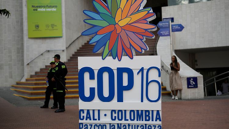 Bei COP16 gelingt immerhin eine Teileinigung auf einen Fonds.