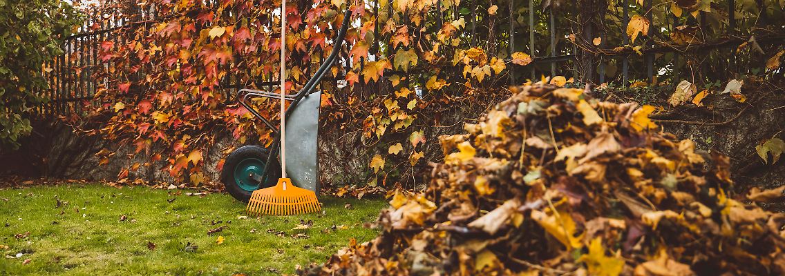 Wer beim Rasenmähen im Herbst alles richtig machen sollte, muss einen Blick auf Temperatur und Wetter werfen.