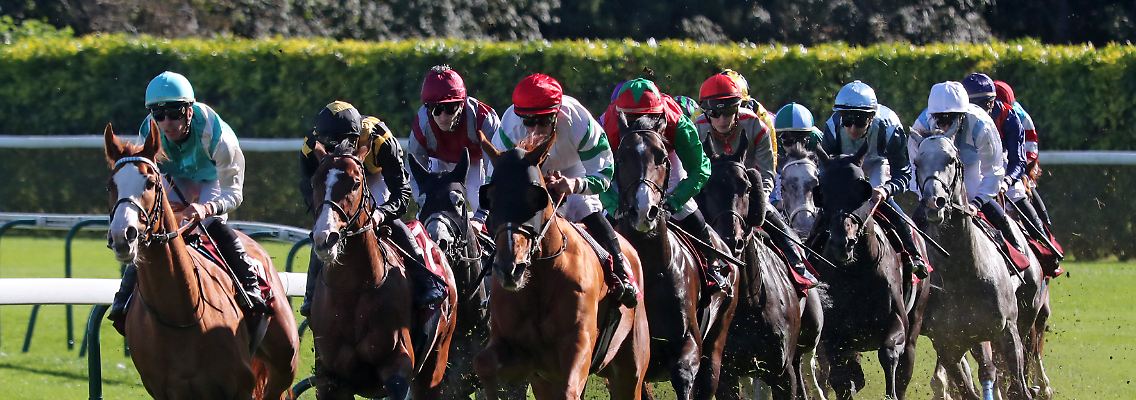 Vom Stallmitarbeiter bis zum Jockey soll die Reitsportbranche in Frankreich morgen streiken - ob das jemand bemerkt?