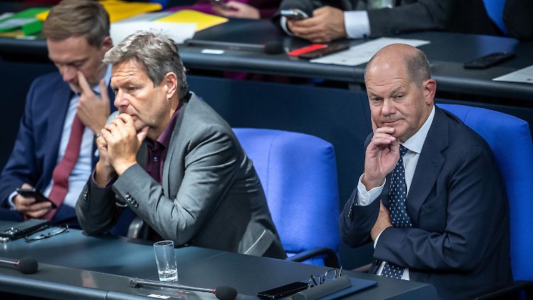 Olaf Scholz wird die Vertrauensfrage Anfang nächsten Jahres stellen.