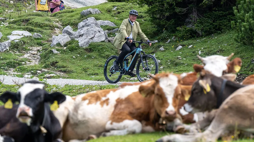 Innenminister-Joachim-Herrmann-CSU-radelt-mit-einem-Elektro-Fahrrad-an-einer-Kuhherde-vorbei