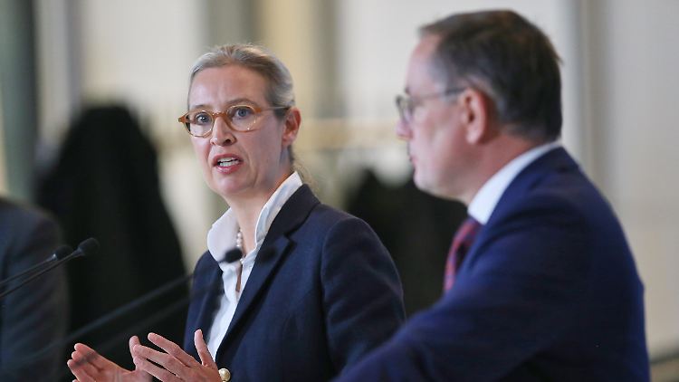 Nach außen hin fordert AfD-Chefin Alice Weidel die sofortige Vertrauensfrage. Intern hoffen viele AfDler auf einen späteren Termin.