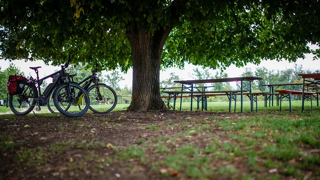 Bierbaenke-stehen-unter-einem-Baum-an-dem-nach-einem-Blitzeinschlag-am-Samstag-drei-Menschen-schwer-verletzt-wurden