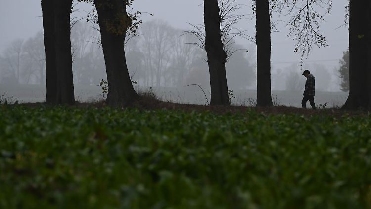 Grautristes Wetter ist in vielen Teilen Deutschlands dominant.