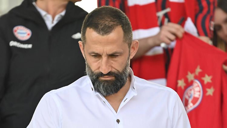 Hasan Salihamidžić ist nicht gut auf Lothar Matthäus zu sprechen.
