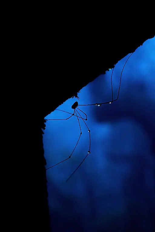 NICHT-VERWENDEN-1200-01-Young-Winner-Arnav-Deshpande