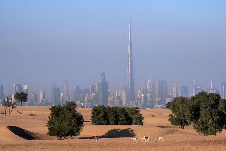 NICHT-VERWENDEN-Wildscape-Winner-Dileep-SS-Hires