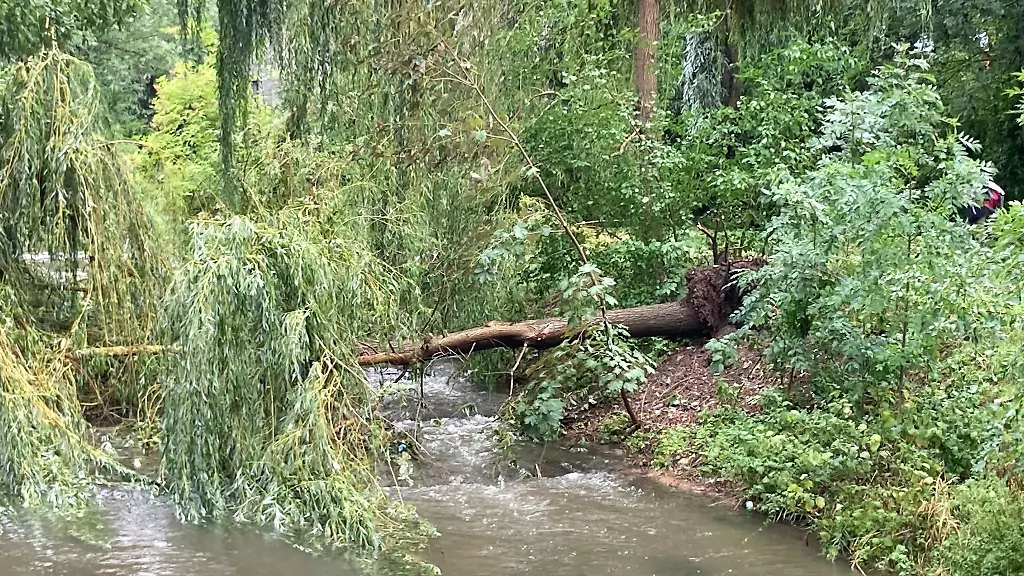 Ein-umgestuerzter-Baum-und-abgebrochene-Aeste-liegen-im-Park-Klein-Venedig