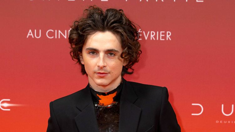 "Ich habe einiges durchgemacht, sagt der US-Schauspieler Timothée Chalamet.