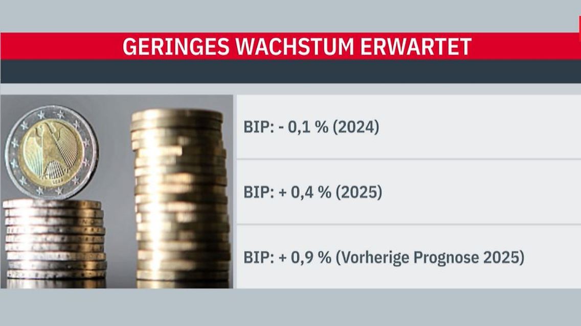 Wirtschafstweise.JPG