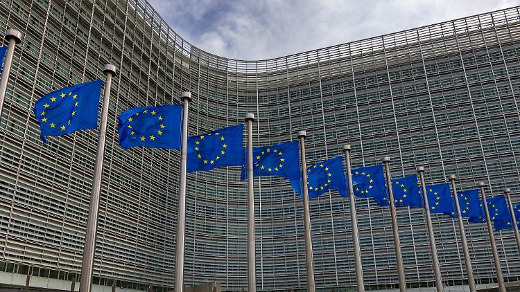 Die EU-Mitgliedstaaten sollen mit Haushaltsmitteln Luftabwehrsysteme, gepanzerte Fahrzeuge und Munition für die Ukraine kaufen.