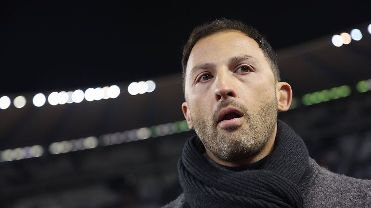 Domenico Tedesco ist nicht mehr Nationaltrainer Belgiens.