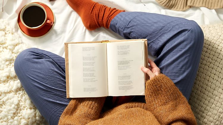 Die Teilnehmenden der Befragung gaben an, höchsten ein paarmal im Jahr Gedichte zu lesen.