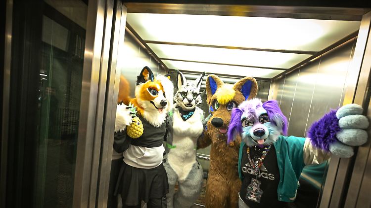 Furry Fandom hat ihren Ursprung in der amerikanischen LGBTQ+-Bewegung und der Science-Fiction-Szene.