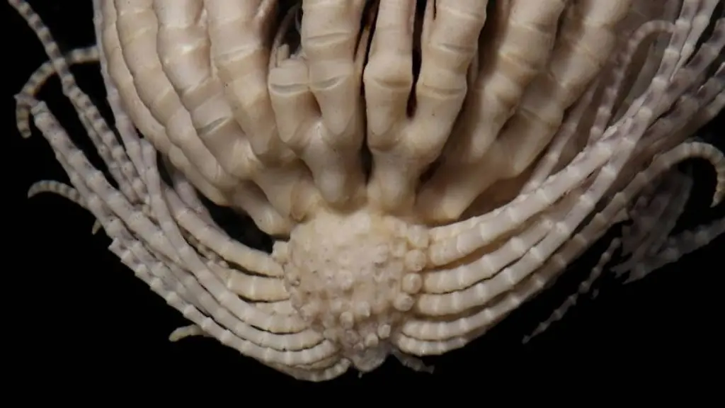 Nicht-weiterverwenden