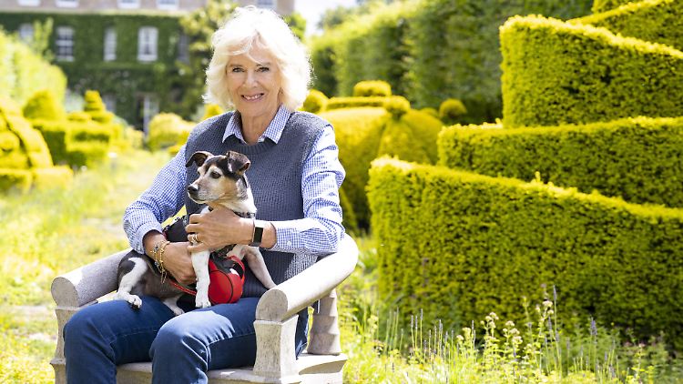 Ihrer Hündin Beth fühlte sich Camilla besonders verbunden.