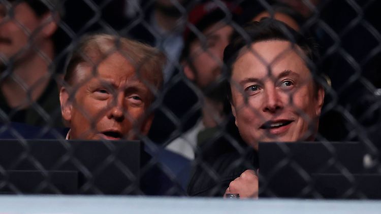 Donald Trump und Elon Musk gingen am Samstag gemeinsam zu einem Mixed-Martial-Arts-Kampf.