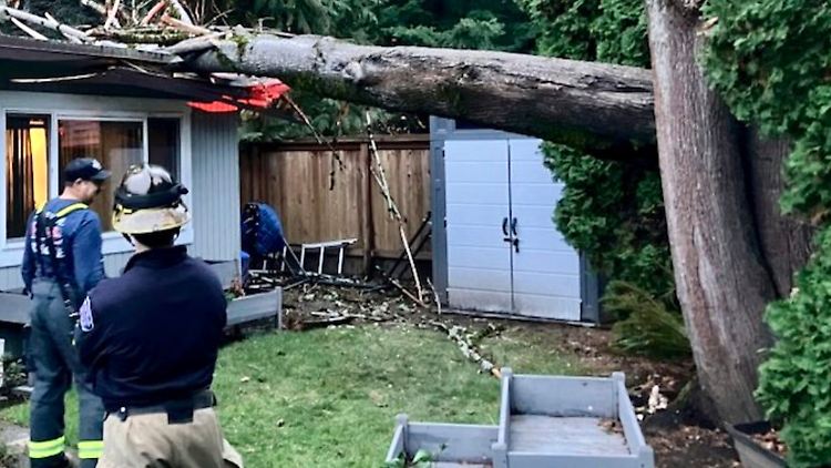 Feuerwehrleute begutachten in Issaquah im US-Bundesstaat Washington die Stelle, an der ein Baum auf ein Haus gestürzt ist.