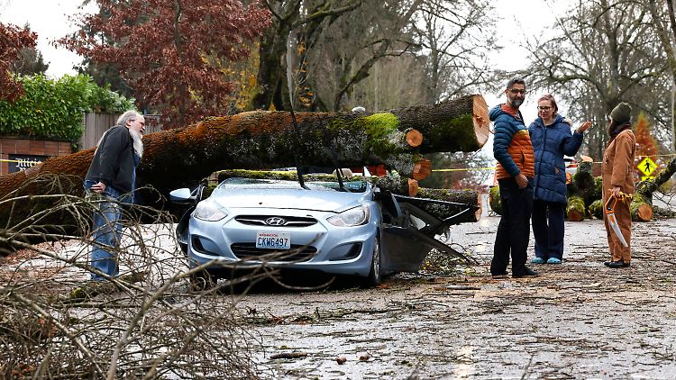 Die teils heftigen Winde rissen Bäume im US-Staat Washington um.