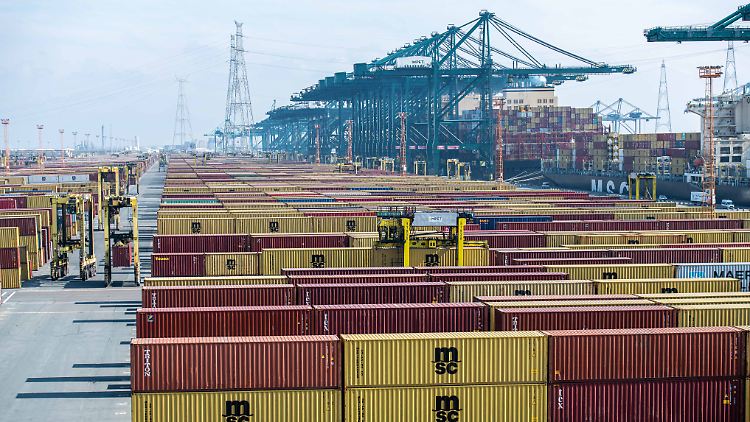 Im laufenden Jahr wurden bereits 116 Tonnen Kokain im Hafen sichergestellt.