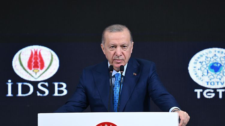 Die Regierung in Ankara ist einer der schärfsten Kritiker von Israel.