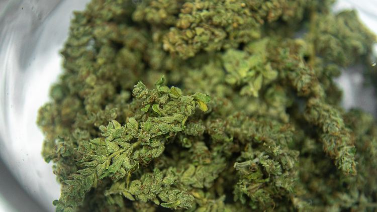 Ob Marihuana beim Backen verwendet worden sei, "gilt es nun final zu klären", so eine Polizeisprecherin. 