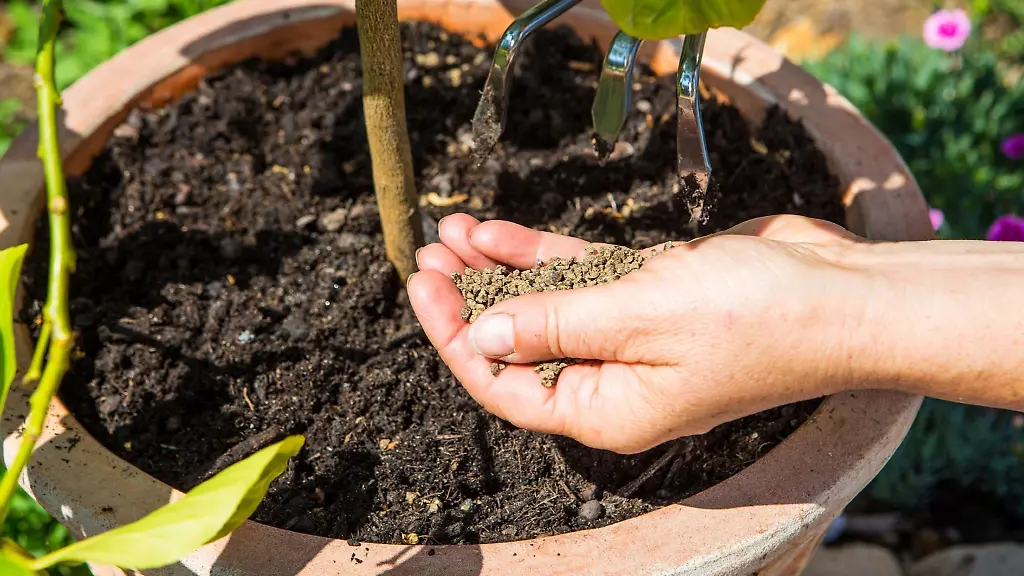 Damit-Stauden-Gehoelze-Co-im-Fruehjahr-nach-den-kalten-und-dunklen-Monaten-kraeftig-austreiben-koennen-behandelt-man-sie-mit-Duenger