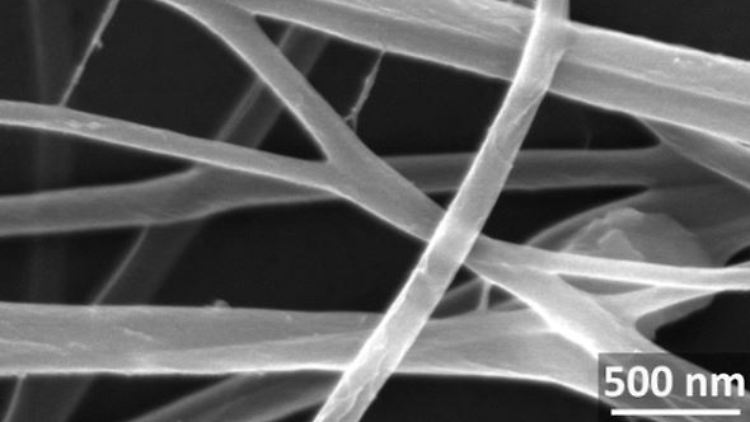 Die Fotografie des Elektronenmikroskops zeigt die dünnsten Spaghetti der Welt. 