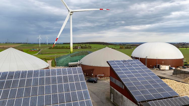 Stromerzeuger per Photovoltaik, Biomasse und Windkraft mussten ebenfalls Überschüsse abführen.