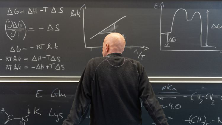 Moni und Oscar finden beide Mathematik großartig, sonst haben sie zunächst wenig gemeinsam. 