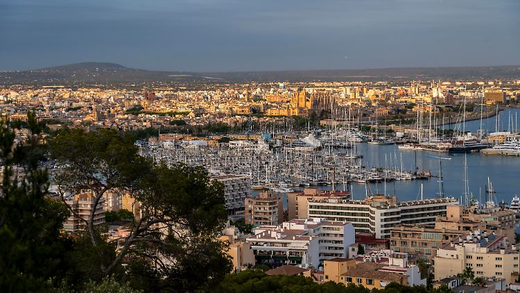 Blick auf den Hafen von Palma. 