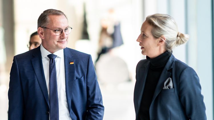 Die beiden AfD-Co-Vorsitzenden Alice Weidel und Tino Chrupalla - ihre Partei verschärft ihre Haltung zu Abtreibungen.