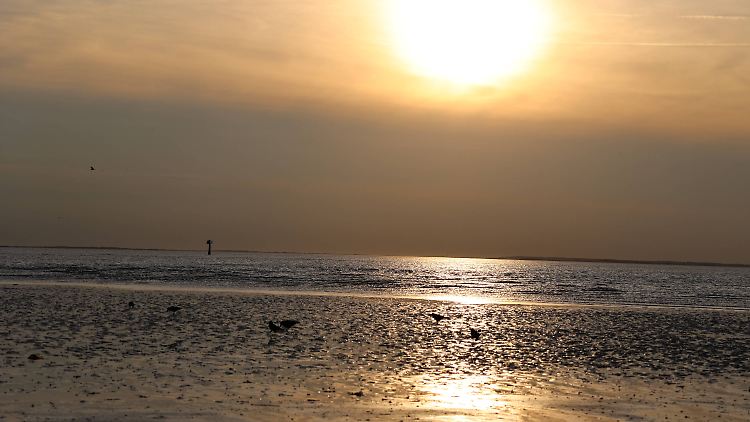 Im dänischen Esbjerg: Hier werden 100.000 Menschen mithilfe einer großen Meerwasserpumpe mit Wärme versorgt.