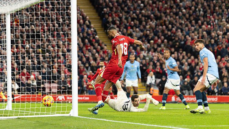 Cody Gakpo brachte Liverpool in Führung.